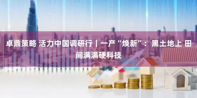 卓鼎策略 活力中国调研行｜一产“焕新”：黑土地上 田间满满硬科技