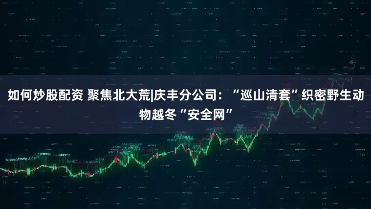 如何炒股配资 聚焦北大荒|庆丰分公司：“巡山清套”织密野生动物越冬“安全网”